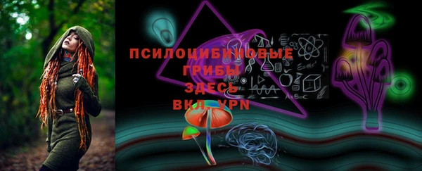 молекула духа Нея