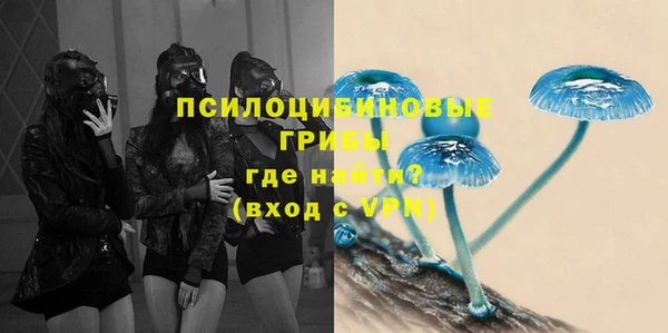 PSILOCYBIN Абдулино